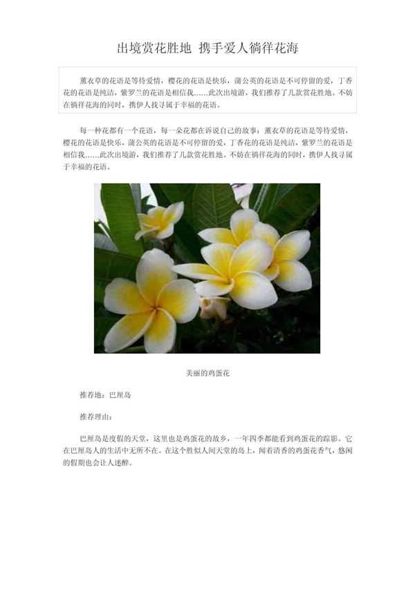 春季出境旅游 赏花胜地 携手爱人徜徉花海