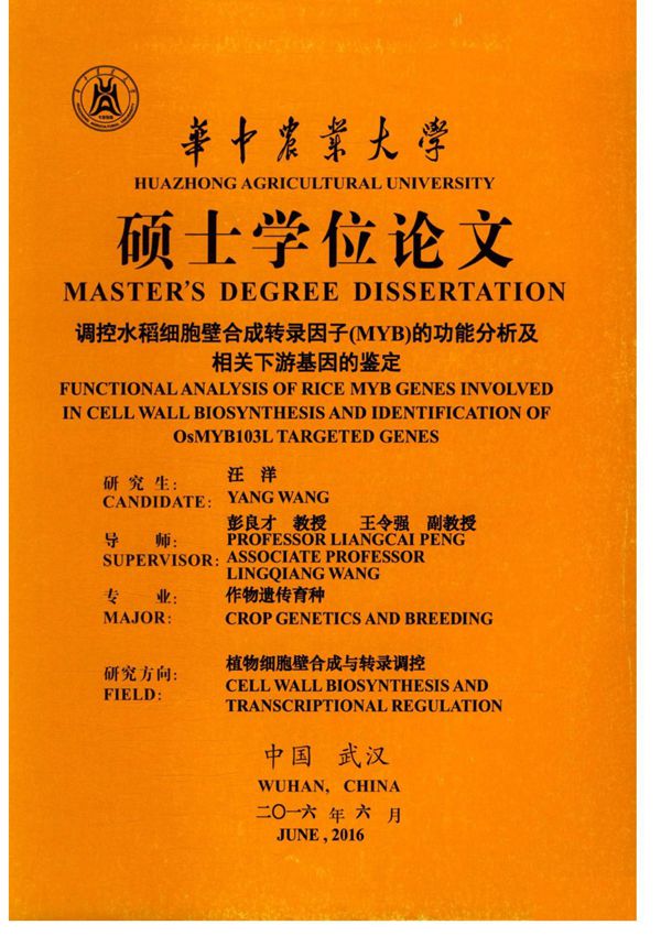 调控水稻细胞壁合成转录因子(MYB)的功能分析及相关下游基因的鉴定