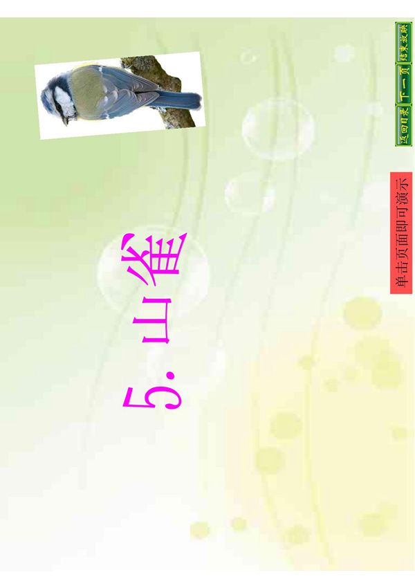 小学三年级语文课件5山雀课件