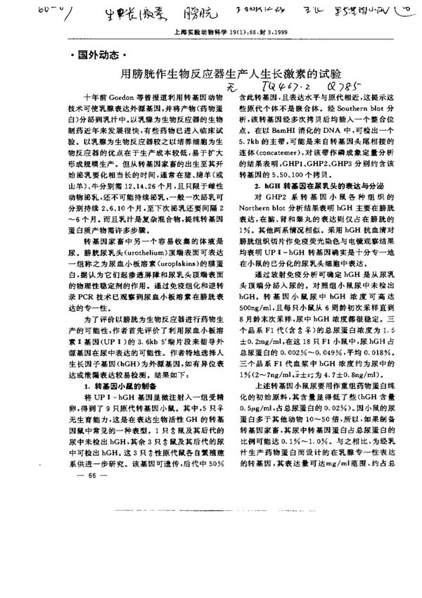 用膀胱作生物反应器生产人生长激素的试验