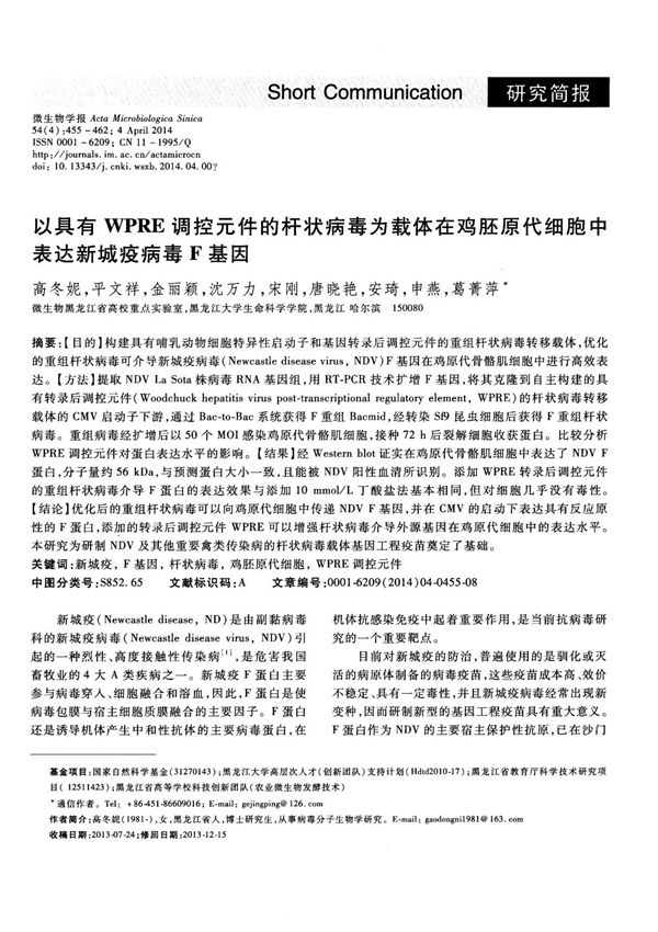 以具有WPRE调控元件的杆状病毒为载体在鸡胚原代细胞中表达新城疫病毒F基因.