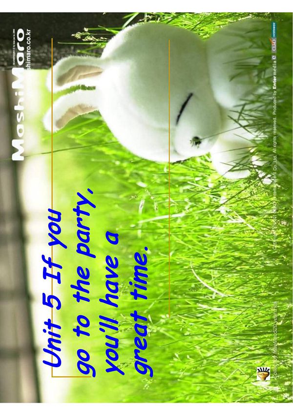 引导的条件状语从句