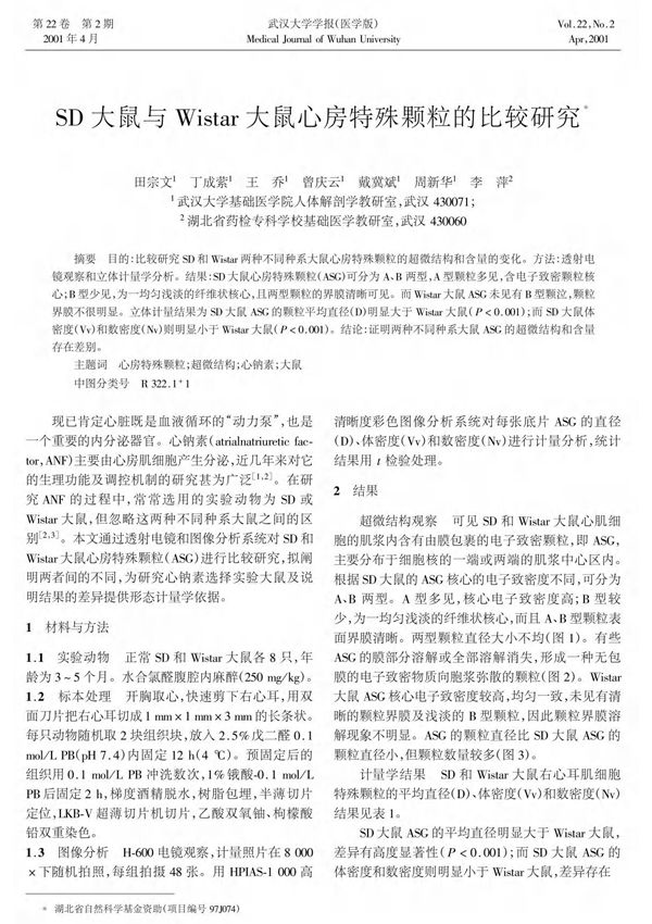 SD大鼠与Wistar大鼠心房特殊颗粒的比较研究