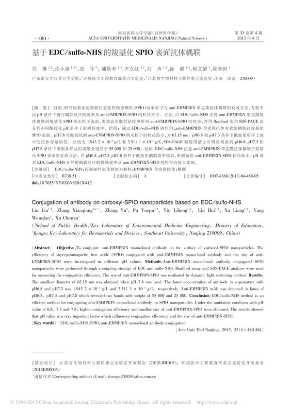 基于EDC sulfo NHS的羧基化SPIO表面抗体耦联
