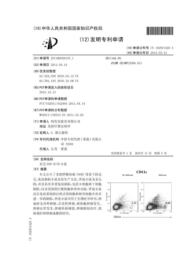 无毛NOD SCID小鼠
