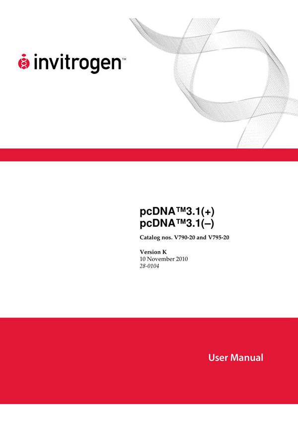 pcdna3.1 说明书