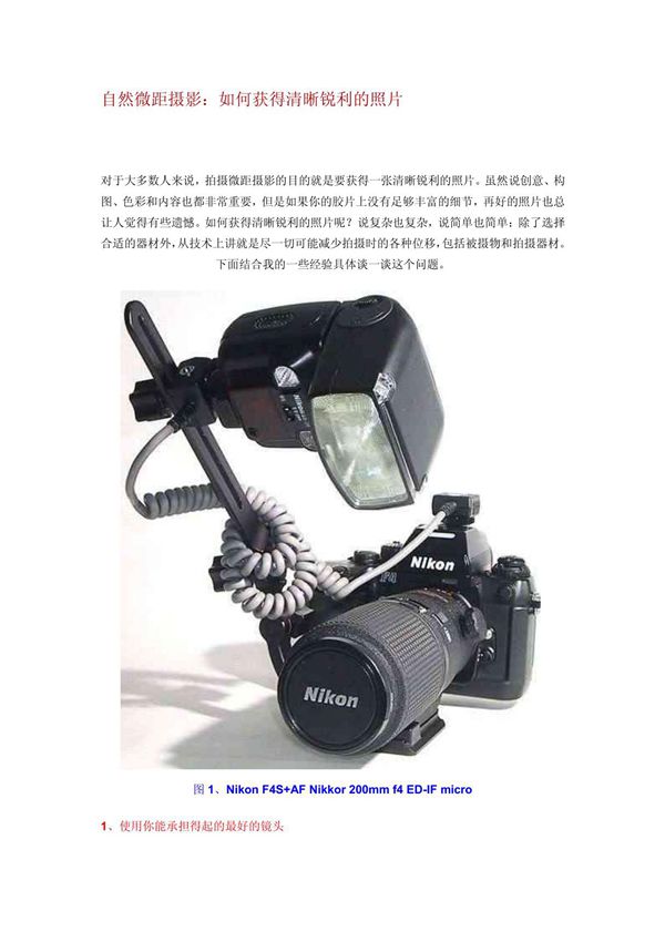 自然微距摄影 如何获得清晰锐利的照片
