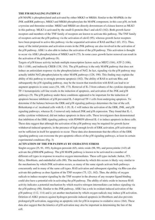 mapk p38 信号通路总结