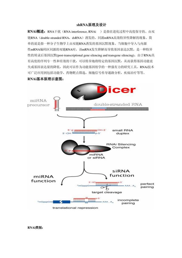 shRNA原理及设计设计原理shRNAshRNA设计shrna设计