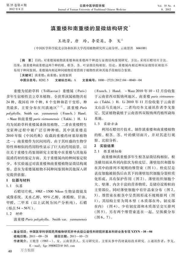 滇重楼和南重楼的显微结构研究