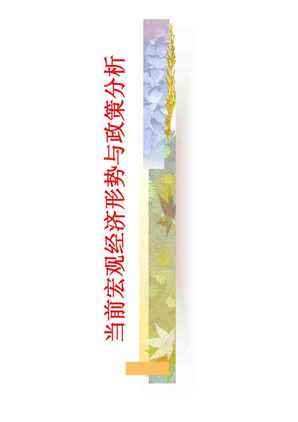 (经济学)当前的宏观经济形势