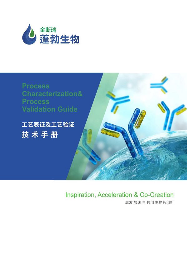 工艺表征及工艺验证技术手册