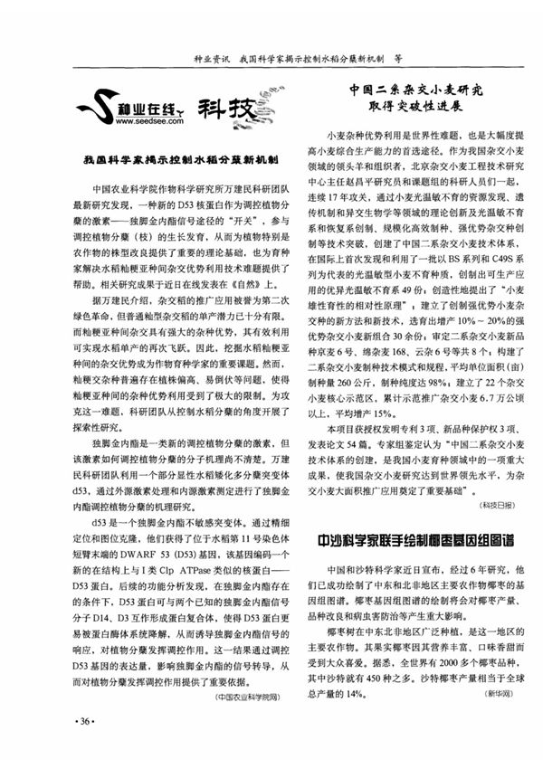 中国二系杂交小麦研究取得突破性进展