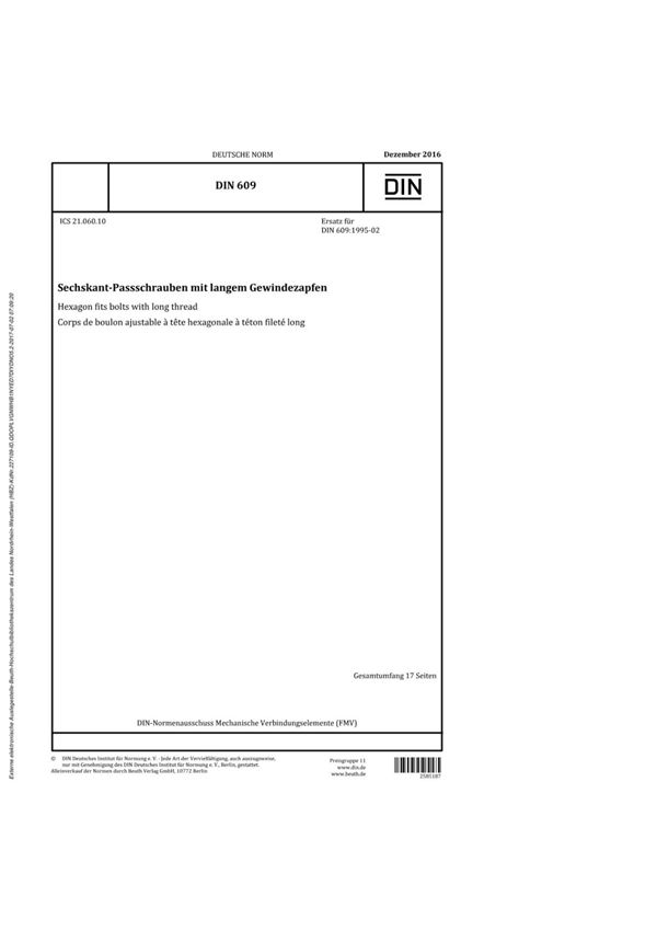 (高清正版) DIN 609 (2016-12-00)  .