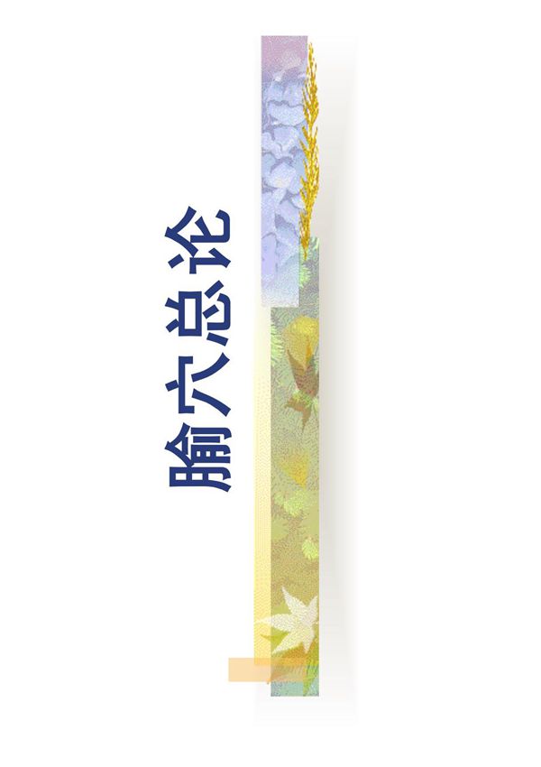 中国医学 针灸推拿 腧穴总论