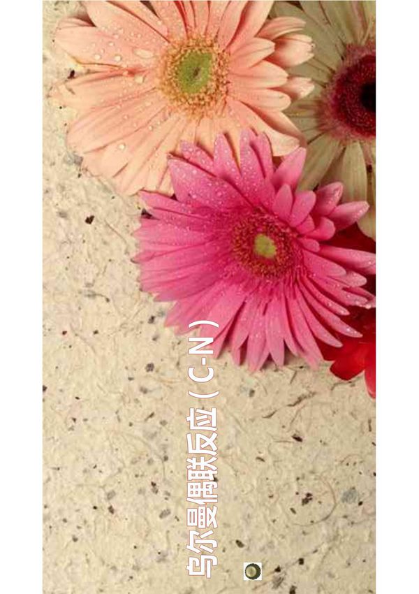 乌尔曼偶联反应(C-N) PDF