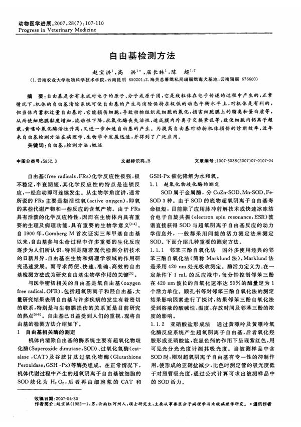 自由基检测方法