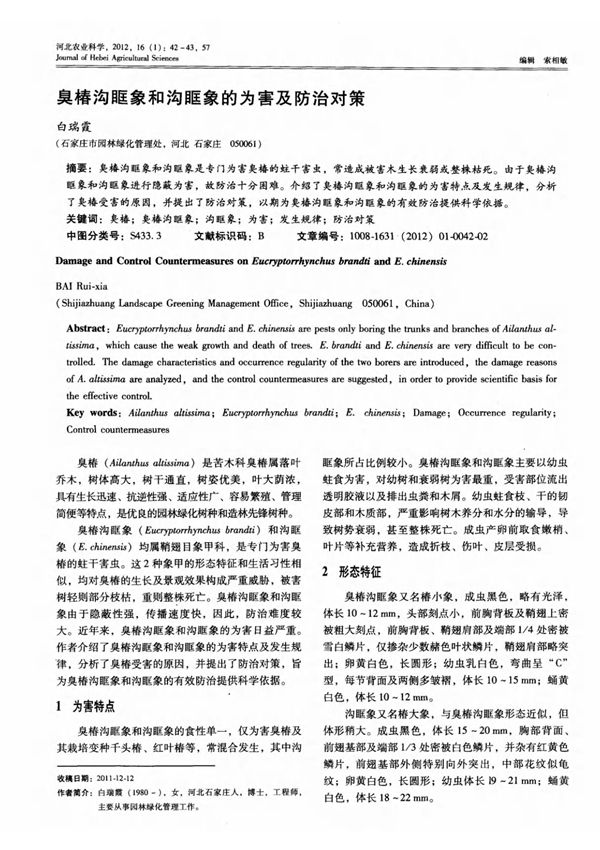 臭椿沟眶象和沟眶象的为害及防治对策