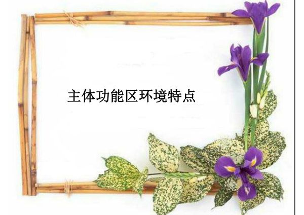 环境与经济可持续发展PPT课件 9 主体功能区环境特点