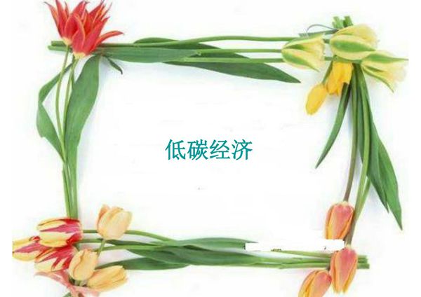 环境与经济可持续发展PPT课件 5 低碳经济