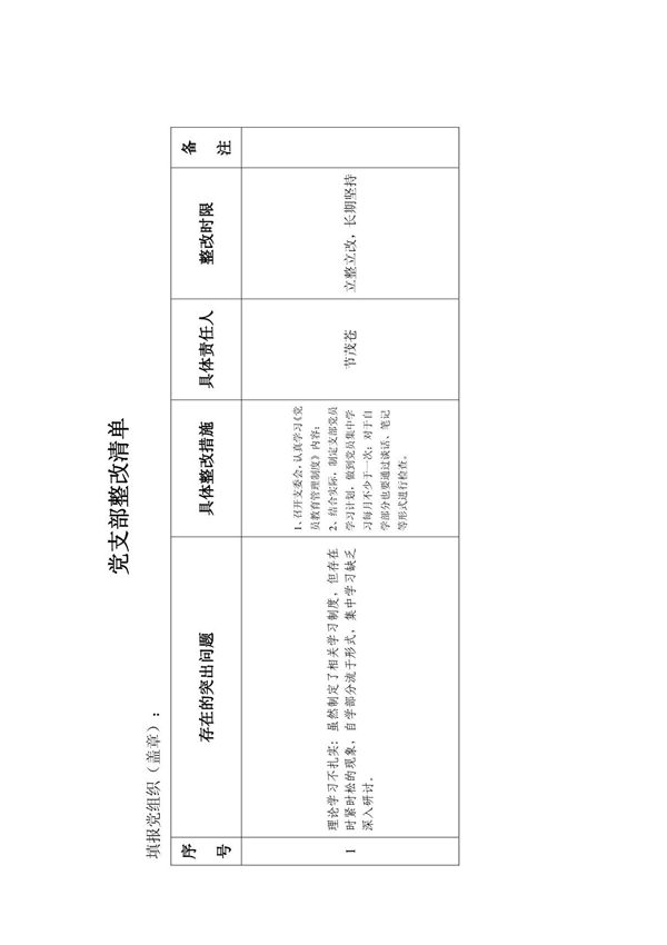 党支部整改清单