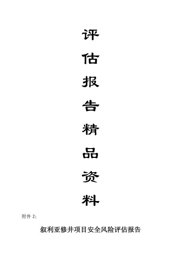 报告-安全风险评估报告