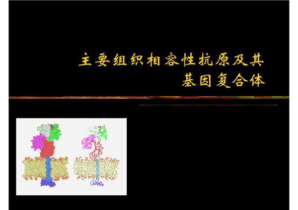 主要组织相容性抗原及其基因复合体 《医学免疫学》课件