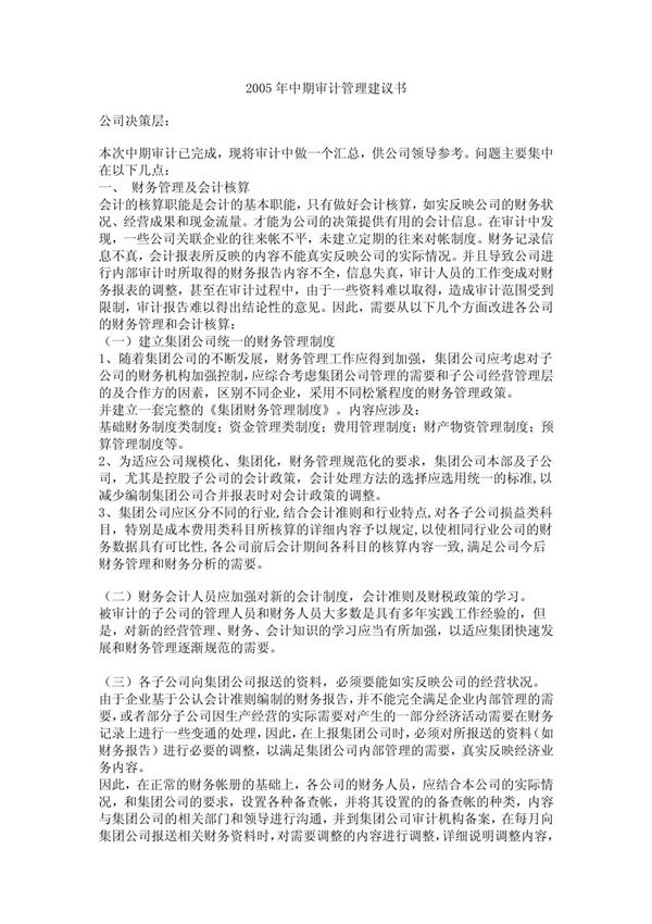 集团审计管理建议书