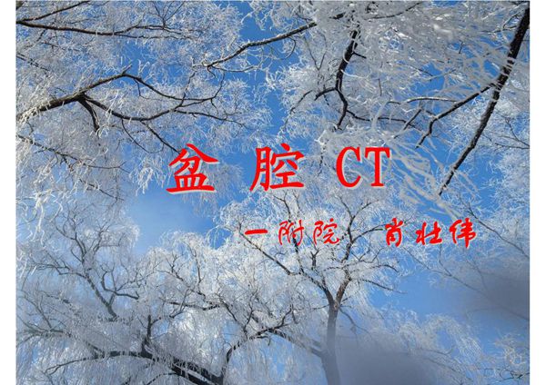 盆腔疾病的CT诊断 汕大《医学影像学》课件