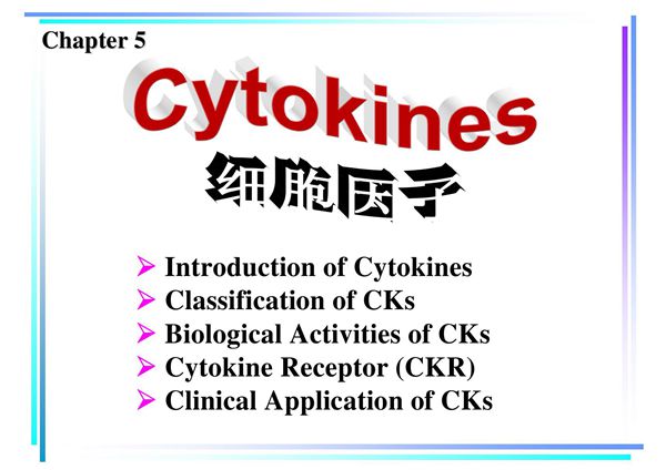 细胞因子 《医学免疫学》课件
