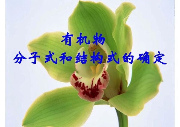 有机物分子式和结构式的确定PPT课件