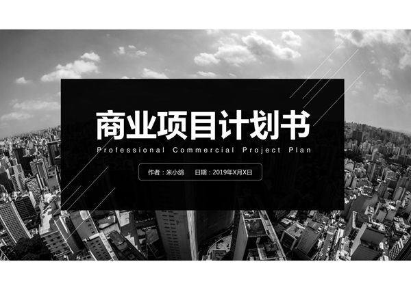 项目策划汇报PPT模板 (39)