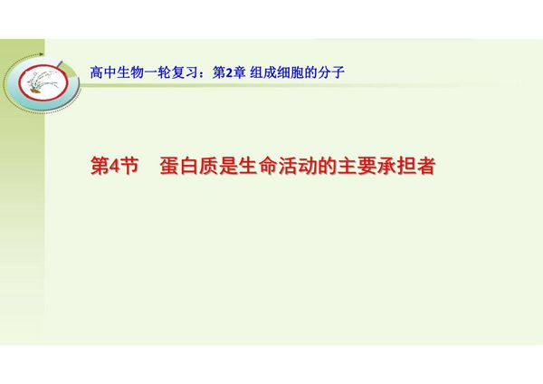 高中生物一轮复习 蛋白质是生命活动的主要承担者