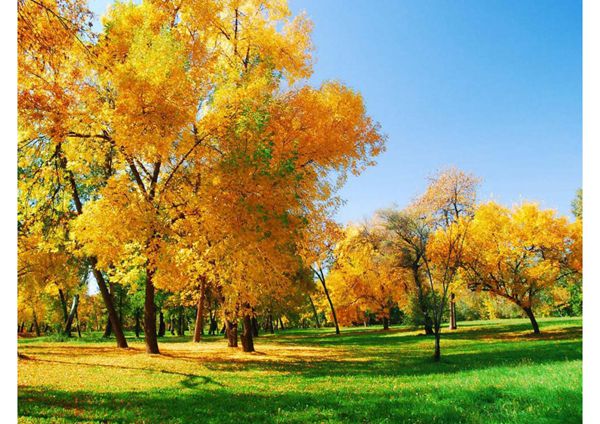 如何保养我们的颈椎!(讲座)