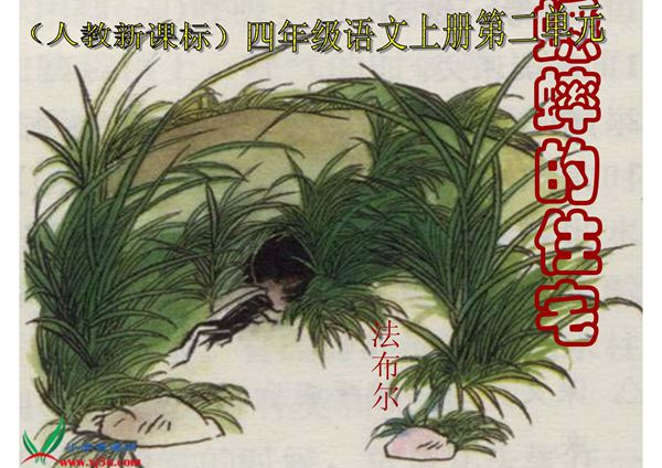 新课标人教版四年级语文上册《蟋蟀的住宅》PPT课件