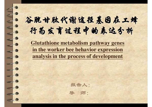 动物医学类本科毕业论文答辩ppt