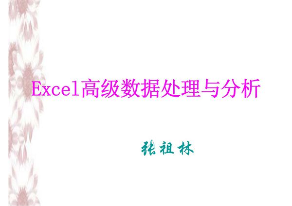 Excel电子表格高级数据处理与分析(ppt)