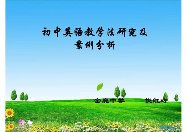 2010初中英语教学法案例分析(框架)