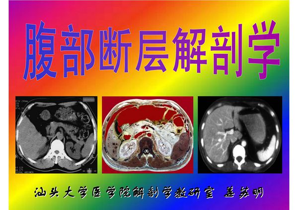 腹部断层解剖学 精品医学课件
