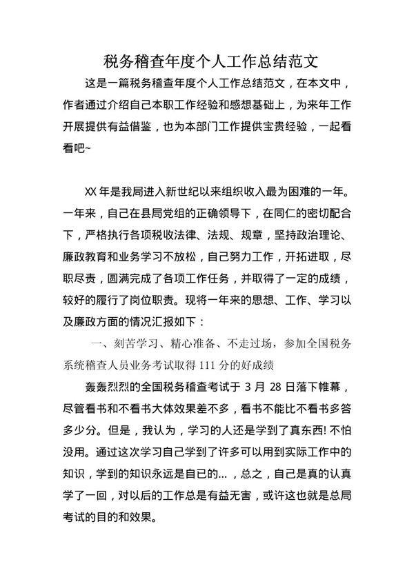 税务稽查年度个人工作总结范文