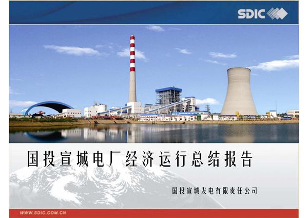 国投宣城电厂经济运行总结报告