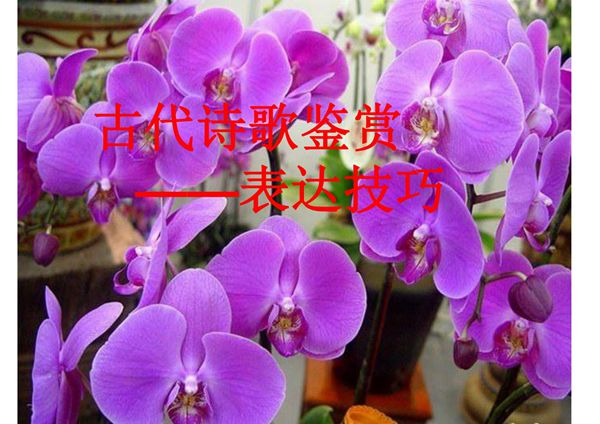 2021年高考语文古典诗歌表达技巧大全