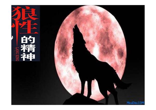 (精品)狼性演讲稿PPT