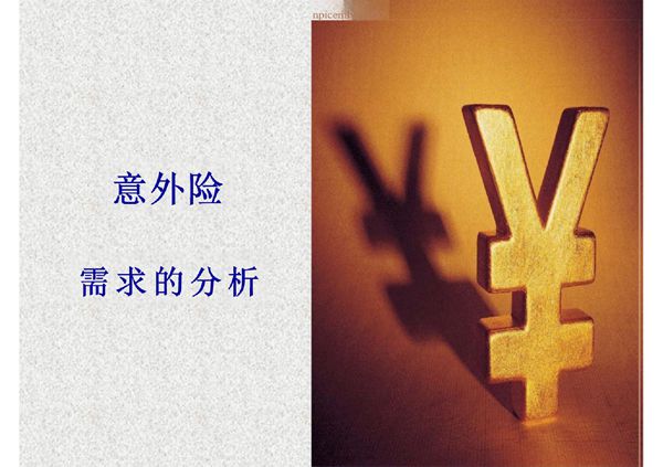 意外险需求分析22页