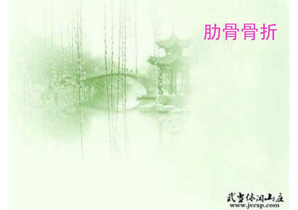 (精品)肋骨骨折