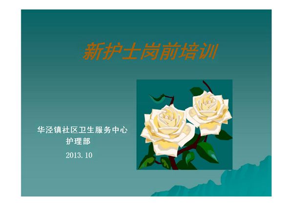 2013年新护士岗前培训(课件)
