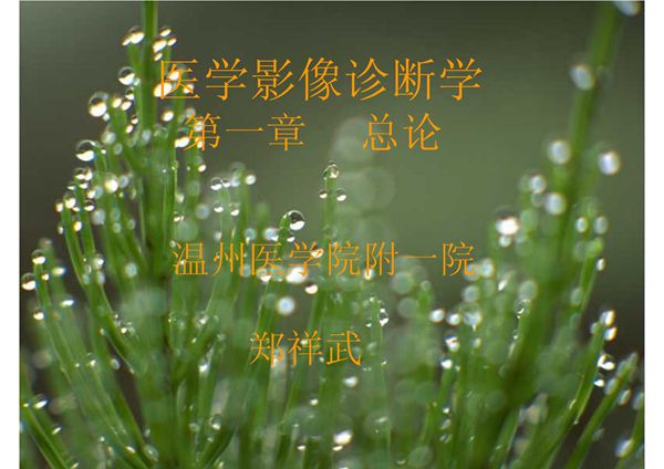 医学影像诊断学总论 温医《医学影像学》(第2版)课件
