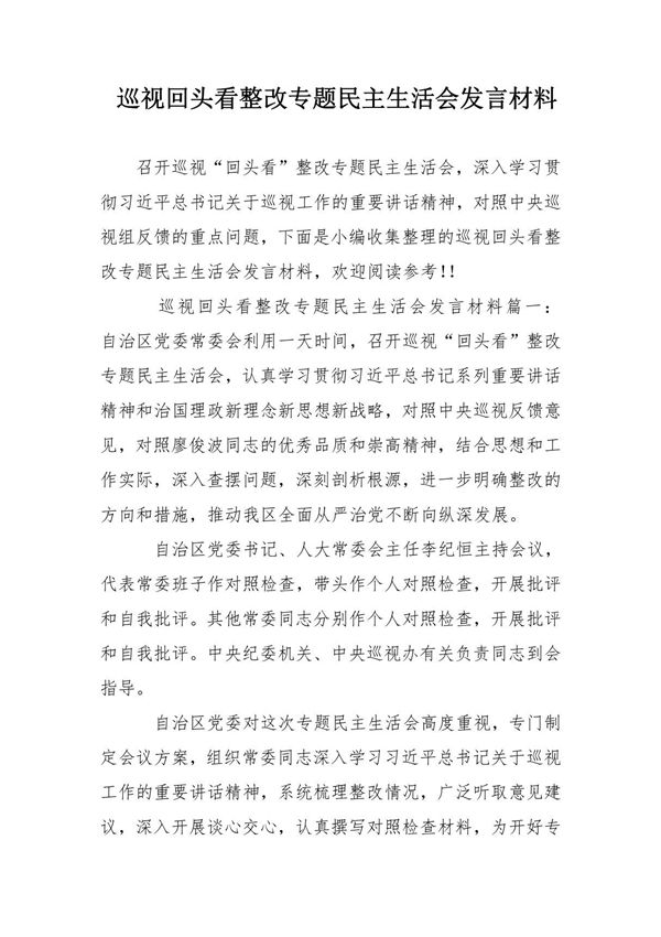 巡视回头看整改专题民主生活会发言材料
