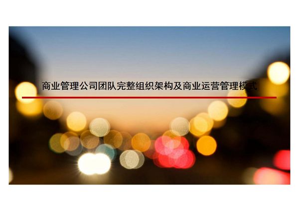 商业管理公司团队完整组织架构及商业运营管理模式