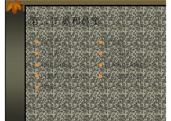 头颈部(鼻和鼻窦)的影像诊断 温医《医学影像学》(第2版)课件